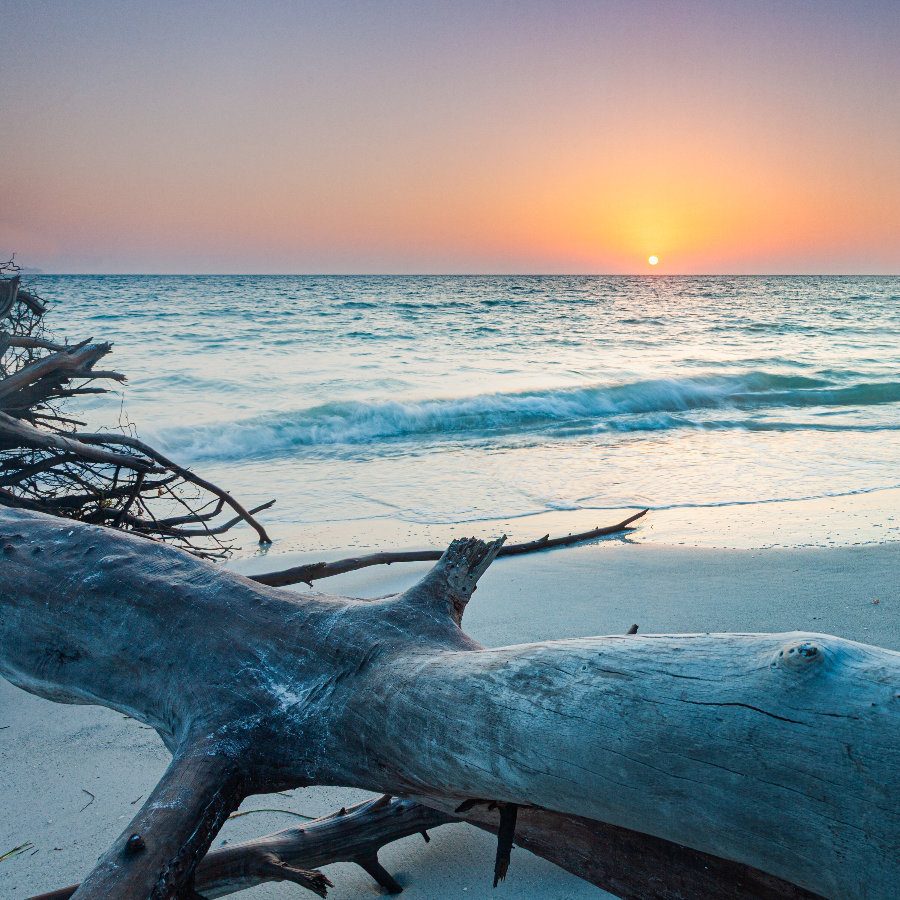 Beach III Fine Art Print