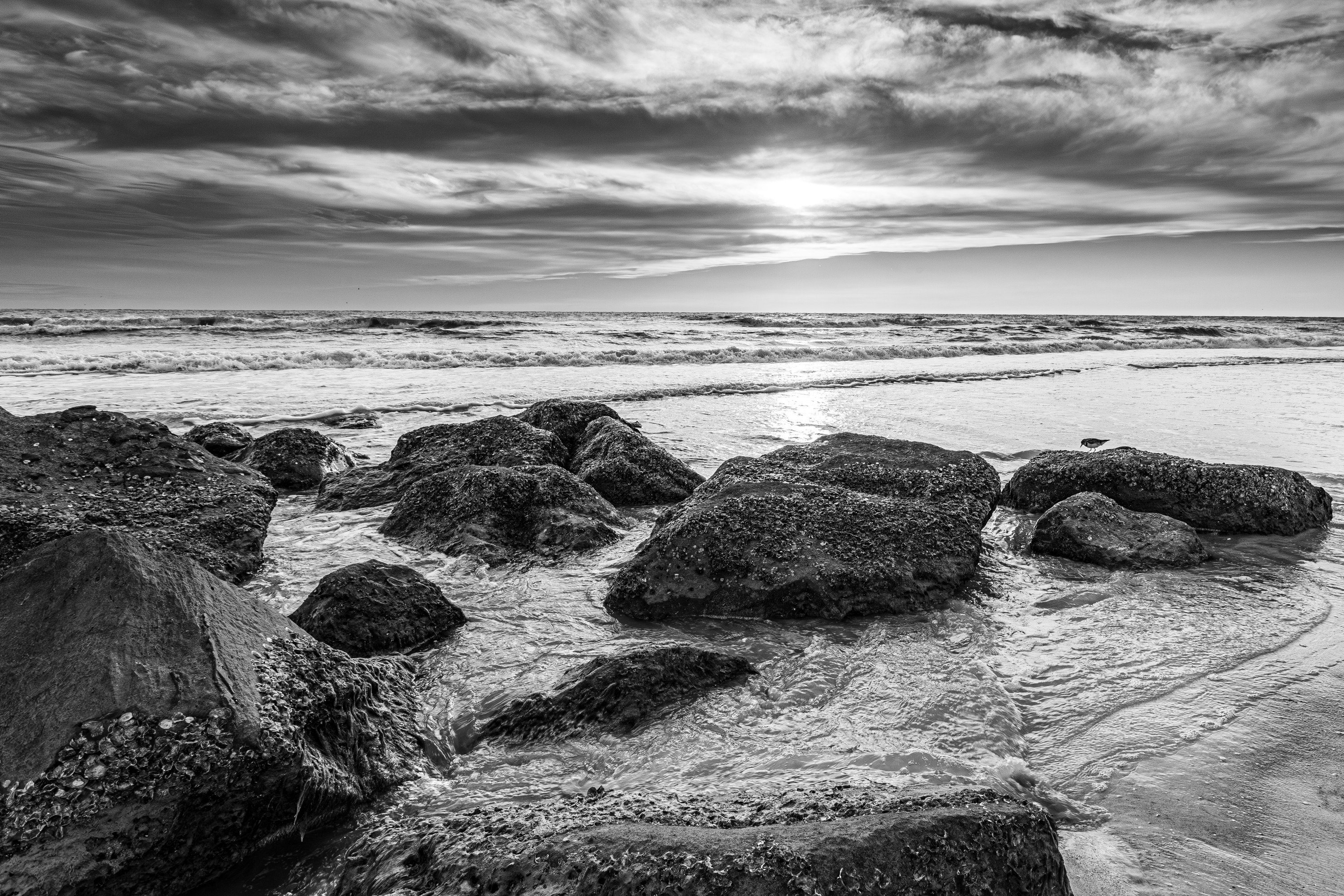 Beach IV Fine Art Print